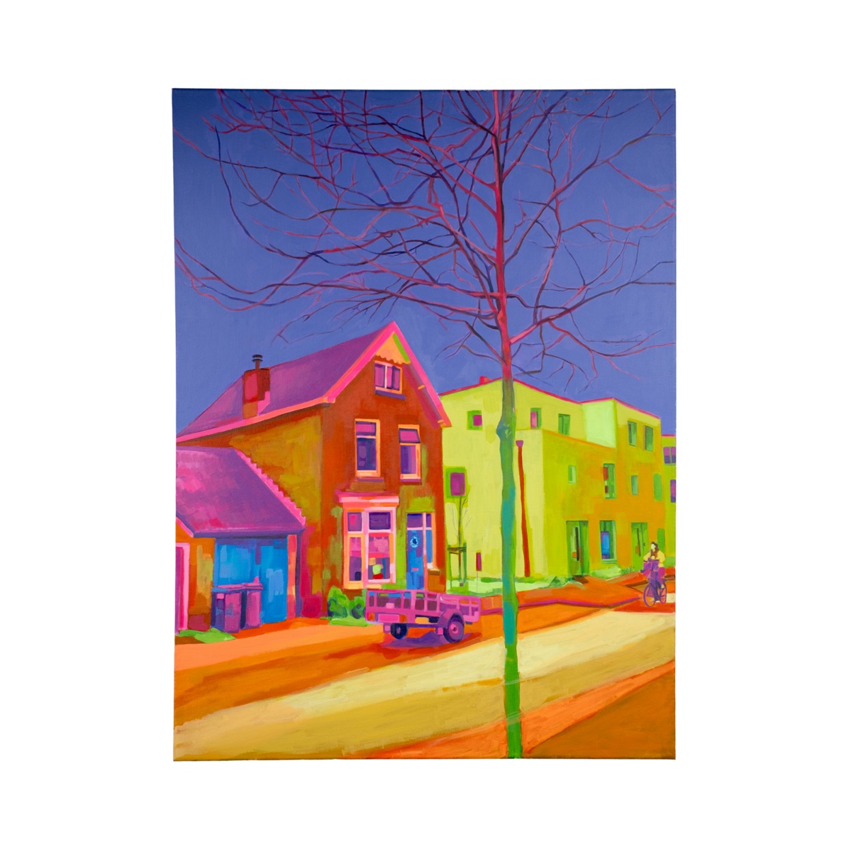 Schilderij 'Veil' van Tara Haghi: acryl op canvas van een Nederlandse straat in verhoogde kleuren